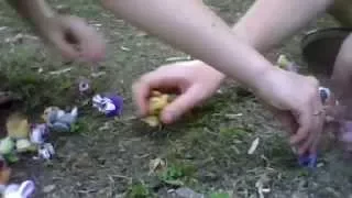 lps she wolf season finale part 1 episode 5