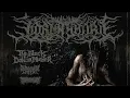 Download Lagu LORNA SHORE is going on tour with The Black Dahlia Murder, Shadow of Intent and PeelingFlesh!