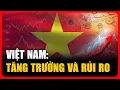 Taiwanese Media Analyzes Risk of Vietnam s Economic Bubble Instability from US-China ENG SUB