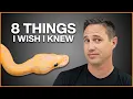 8 Tips For New Ball Python Breeders 224