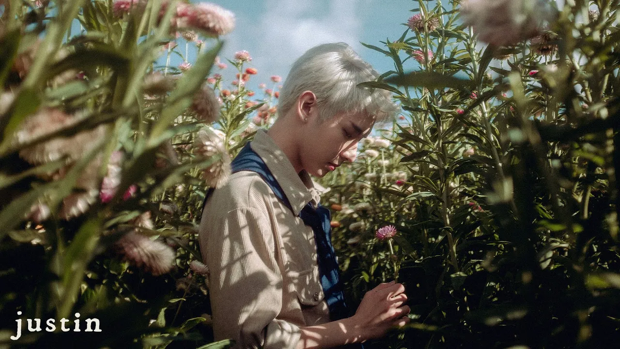 surreal mv