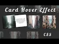 Card Hover Effect Cool Hovering Effect Pure CSS HTML Techy Programmers