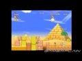 New Super Mario Bros Wii Level 2-5 Star Coins