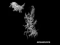 Download Lagu Lichen - Mossblood  (Full Album | Black Metal | 2025)