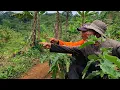 Lagu GARA GARA NGAMBIL DAUN PISANG 