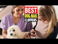 Top 5 Best Dog Nail Clippers of 2025