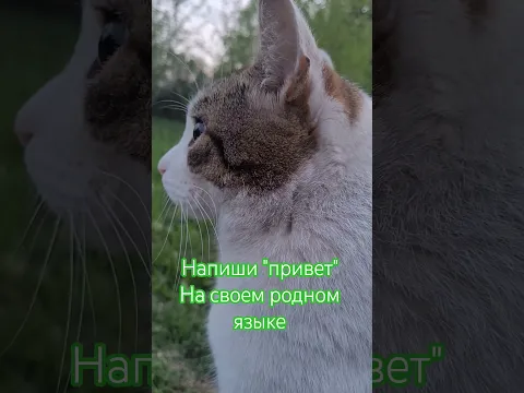 6 июня 2026 г.