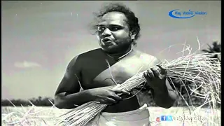 Ennapan Allavaa Song Nandanaar