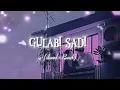 Download Lagu gulabi Sadi || lofi song ( slowed + Reverb)