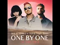 One By One (feat. Oaks) (Jax Jones Extended Remix)