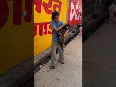 அன்பு உள்ளம் கொண்ட பெண் #shorts #love #bekind #emotional #hope