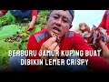 BERBURU JAMUR KUPING BUAT DIJADIKAN GORENGAN CRISPY