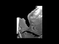 ROFFS Bahamas Circulation - Feb 01