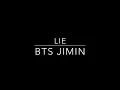 BTS Jimin LIE - LYRICS