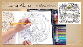 Calming Stress Relief Color Along Johanna Basford s Enchanted Forest Coloring Book ASMR no talking