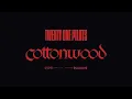 Twenty One Pilots - Cottonwood (Official Audio)