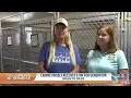 Canine Angels in Grants Pass receives 10k grant
