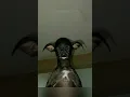 Download Lagu SkinWalker Disguised As Animals ☢️ PRT-56 #viral #ytshorts
