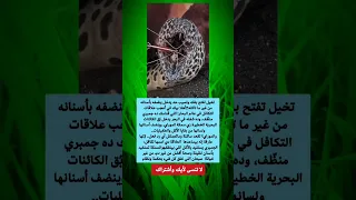 تخيل تفتح بقك وتسيب حد يدخل ينضفه بأسنانه من غير ما تاكله معلومات عامة معلومه علي الماشي 