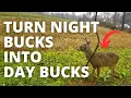 Turn Night Time Summer Bucks Into Day Time Fall Bucks