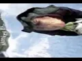 funny monkey bhop gif nightcore