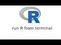 run R code from terminal