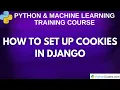 How to Set Up Cookies in Django Beginner Tutorial