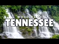 Wonders of Tennessee 21 Incredibly Beautiful Places You Need to Visit