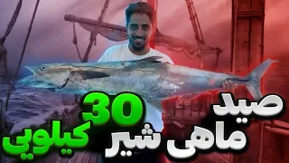 صید ماهی شیر بزرگ با قلاب به روش ترولینگ در خلیج فارس جزیره کیش 