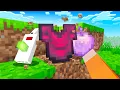 Minecraft but Drops are RANDOM and MODDED