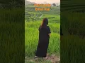 Download Lagu emut bae