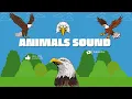 Download Lagu Suara burung elang terbang menyeramkan
