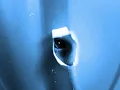 Slow Pulp - Doubt (Official Visualizer)