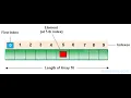 Array in Data Structures Insertion in an array