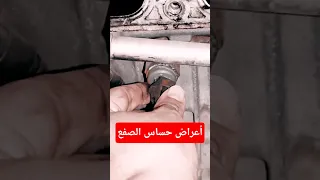 اعراض حساس الصفع في المحرك  أحمد جسور دندنها