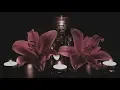 ASMR Hot Stone Massage Experience soothing music