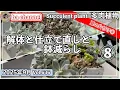 Download Lagu 636{多肉植物} 暴れ苗の形を活かして仕立て直ししてみた😊夏の片付け第⑧弾‼️【多肉事】【冬が来る前に】【鉢減らし】【ba多肉】【baチャンネル】【Succulent】