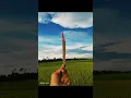 Cover Song Thailand| Fon Tok Mai