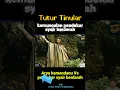 Download Lagu kemunculan musuh terkuat kamandanu, pendekar syair berdarah #tutur tinular