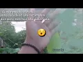 Download Lagu Status wakeren