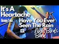 Download Lagu It's A Heartache | Have You Ever Seen The Rain | NightBirds