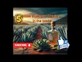 Top 5 Most Expensive Tequilas in the World
