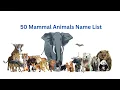 50 Mammal Animals Name List Learn Mammals in English Part I