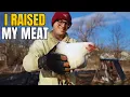 How I Raised Meat Chickens for the First Time Start to Finish