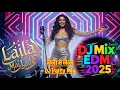 Download Lagu Laila mai Laila Official Song | लैला मैं लैला ऐसी में लैला | DJ Mix EDM Song | Party Mix 2025 | Song
