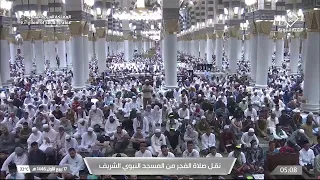                                بث مباشر   قناة السنة النبوية                                   دندنها