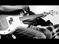Milkweed Butterfly - Smush Bass Cover