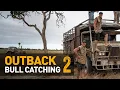 Lagu BEST. ACTION. EVER.  — Catching WILD scrub-bulls in Outback Australia [Part 2 of 2]