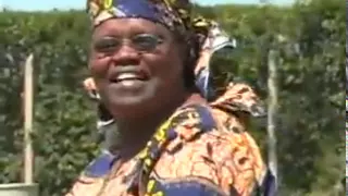vula mbeu nthuku