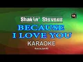 Download Lagu BECAUSE I LOVE YOU [ KARAOKE ] - SHAKIN' STEVENS@nuansamusikkaraoke